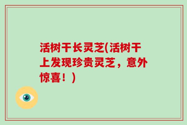 活树干长灵芝(活树干上发现珍贵灵芝，意外惊喜！)