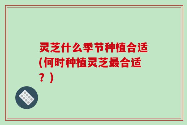 灵芝什么季节种植合适(何时种植灵芝最合适?)