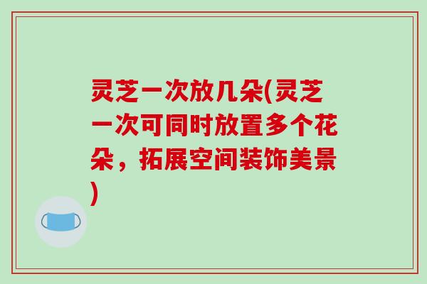 灵芝一次放几朵(灵芝一次可同时放置多个花朵,拓展空间装饰美景)
