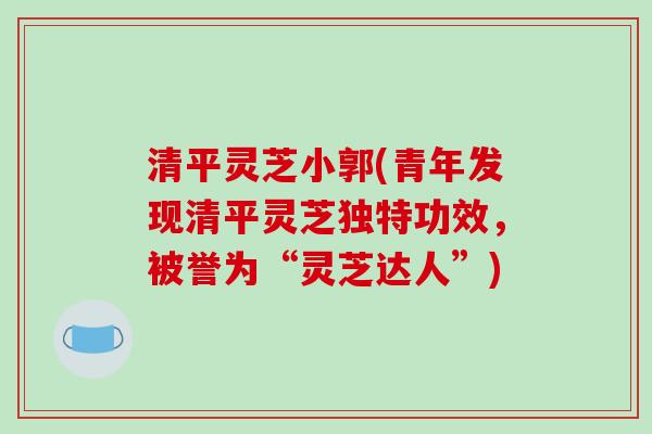 清平灵芝小郭(青年发现清平灵芝独特功效，被誉为“灵芝达人”)