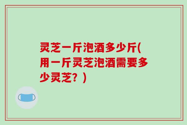 灵芝一斤泡酒多少斤(用一斤灵芝泡酒需要多少灵芝?)