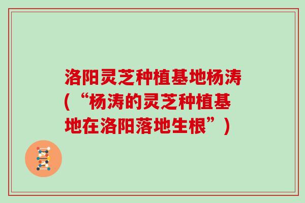 洛阳灵芝种植基地杨涛(“杨涛的灵芝种植基地在洛阳落地生根”)