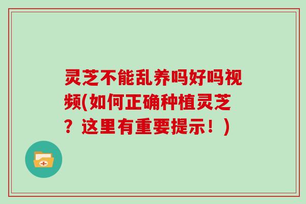 灵芝不能乱养吗好吗视频(如何正确种植灵芝？这里有重要提示！)