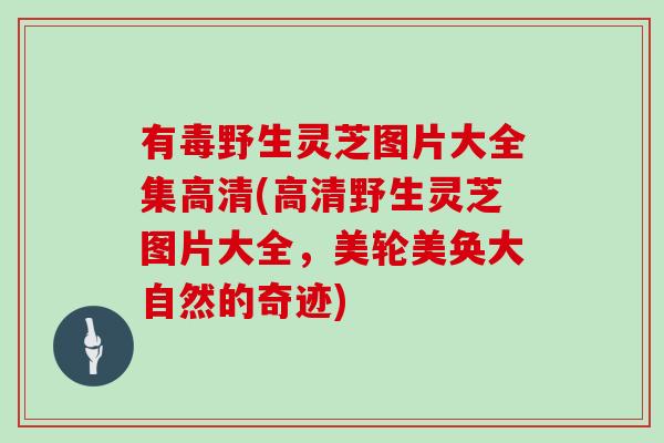 有毒野生灵芝图片大全集高清(高清野生灵芝图片大全,美轮美奂大自然的奇迹)