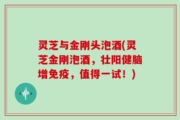 灵芝与金刚头泡酒(灵芝金刚泡酒,壮阳健脑增免疫,值得一试!)