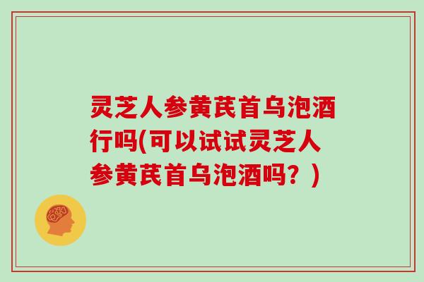 灵芝人参黄芪首乌泡酒行吗(可以试试灵芝人参黄芪首乌泡酒吗?)