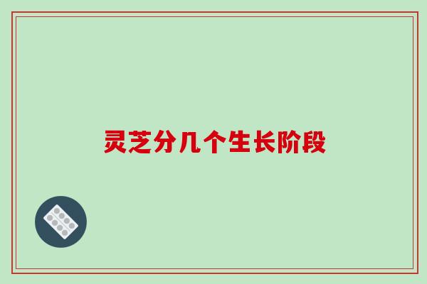 灵芝分几个生长阶段