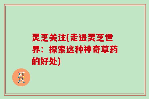 灵芝关注(走进灵芝世界：探索这种神奇草药的好处)