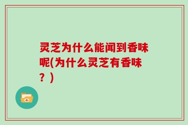 灵芝为什么能闻到香味呢(为什么灵芝有香味?)
