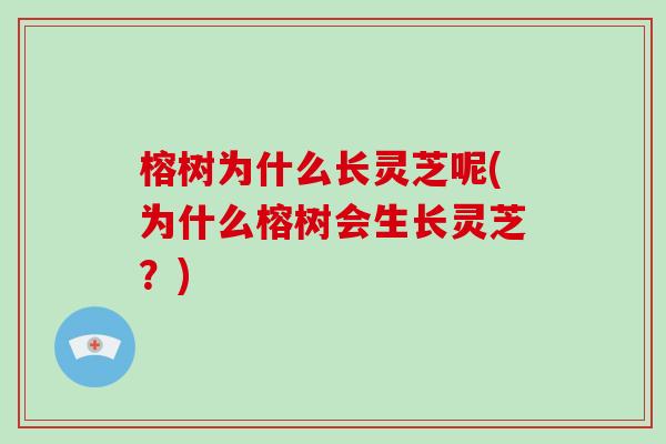 榕树为什么长灵芝呢(为什么榕树会生长灵芝?)