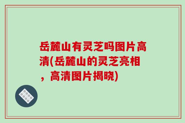 岳麓山有灵芝吗图片高清(岳麓山的灵芝亮相,高清图片揭晓)