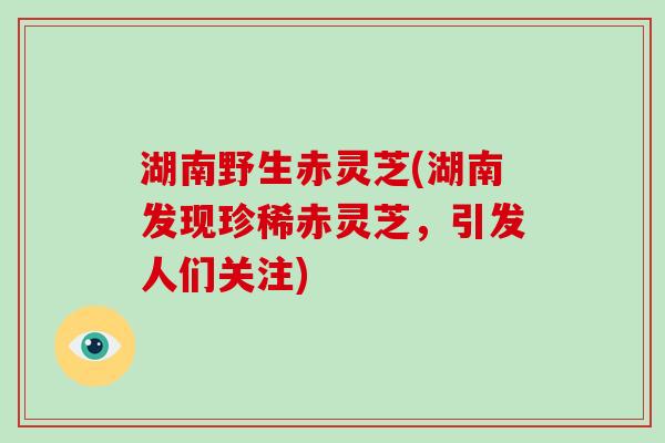 湖南野生赤灵芝(湖南发现珍稀赤灵芝,引发人们关注)