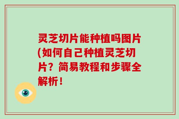 灵芝切片能种植吗图片(如何自己种植灵芝切片?简易教程和步骤全解析!