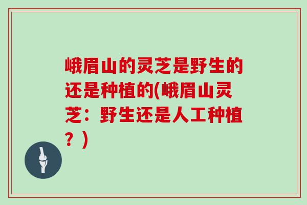 峨眉山的灵芝是野生的还是种植的(峨眉山灵芝：野生还是人工种植？)