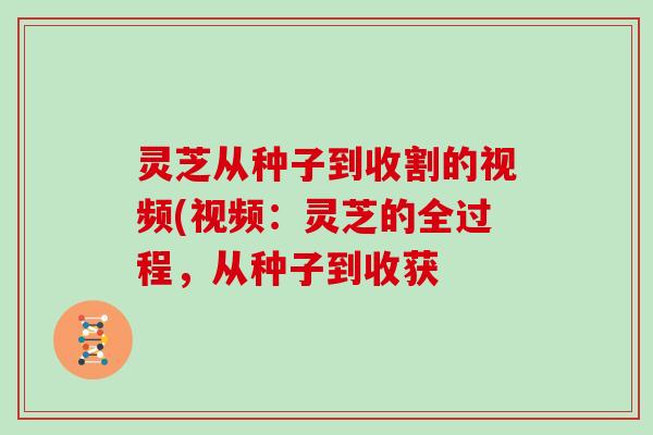 灵芝从种子到收割的视频(视频:灵芝的全过程,从种子到收获