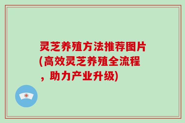 灵芝养殖方法推荐图片(高效灵芝养殖全流程，助力产业升级)
