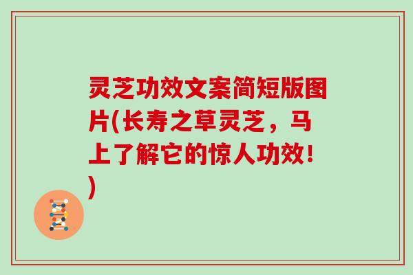 灵芝功效文案简短版图片(长寿之草灵芝，马上了解它的惊人功效！)