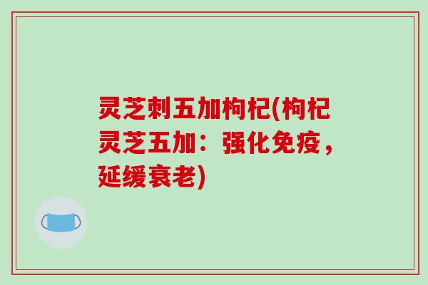 灵芝刺五加枸杞(枸杞灵芝五加:强化免疫,延缓衰老)