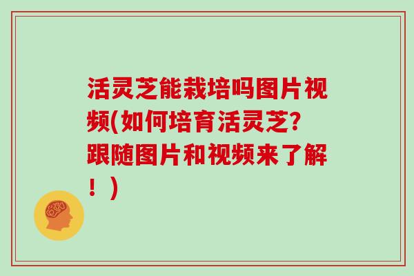 活灵芝能栽培吗图片视频(如何培育活灵芝?跟随图片和视频来了解!)
