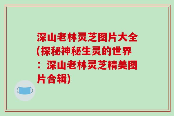 深山老林灵芝图片大全(探秘神秘生灵的世界:深山老林灵芝精美图片合辑)