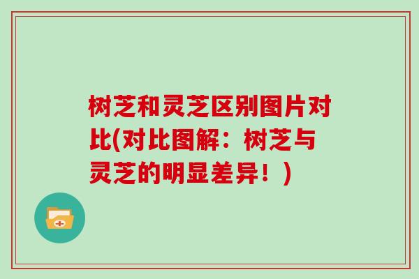 树芝和灵芝区别图片对比(对比图解:树芝与灵芝的明显差异!)