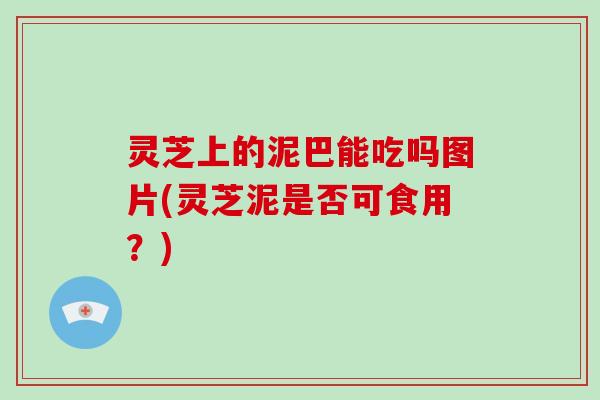 灵芝上的泥巴能吃吗图片(灵芝泥是否可食用?)