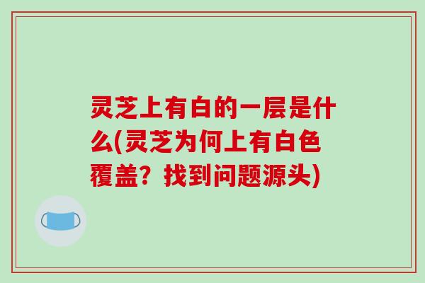 灵芝上有白的一层是什么(灵芝为何上有白色覆盖？找到问题源头)