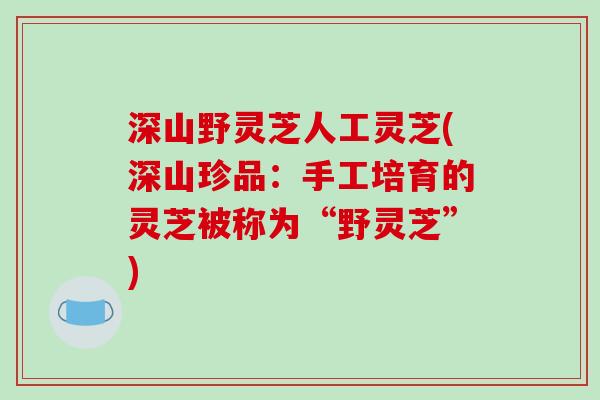 深山野灵芝人工灵芝(深山珍品:手工培育的灵芝被称为“野灵芝”)