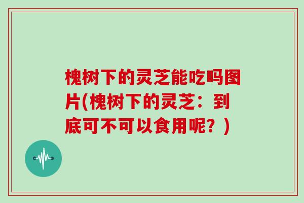 槐树下的灵芝能吃吗图片(槐树下的灵芝:到底可不可以食用呢?)