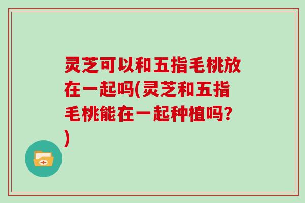 灵芝可以和五指毛桃放在一起吗(灵芝和五指毛桃能在一起种植吗？)