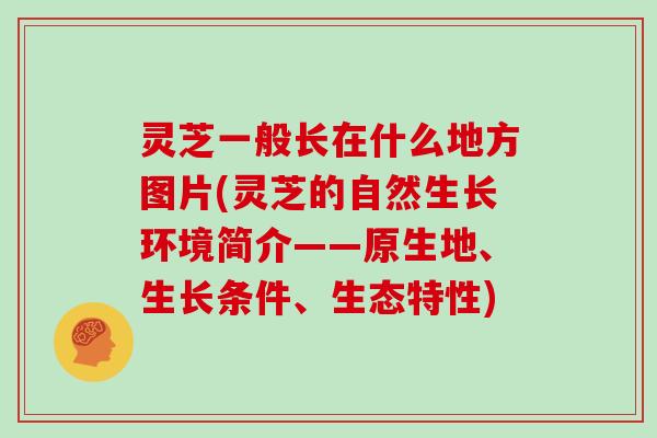 灵芝一般长在什么地方图片(灵芝的自然生长环境简介——原生地、生长条件、生态特性)