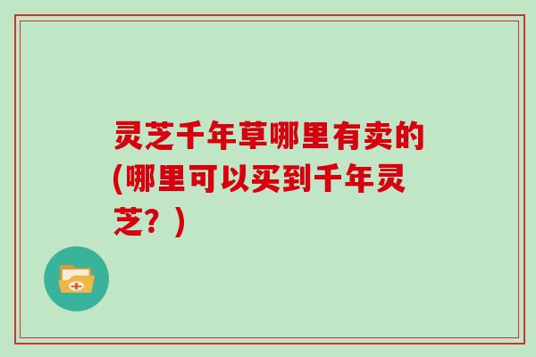 灵芝千年草哪里有卖的(哪里可以买到千年灵芝？)