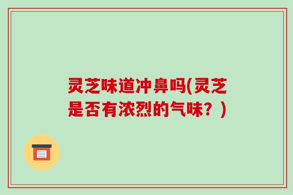 灵芝味道冲鼻吗(灵芝是否有浓烈的气味?)