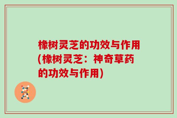 橡树灵芝的功效与作用(橡树灵芝:神奇草药的功效与作用)