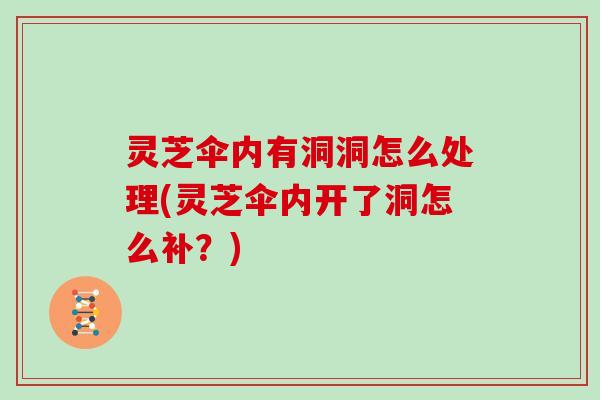 灵芝伞内有洞洞怎么处理(灵芝伞内开了洞怎么补?)