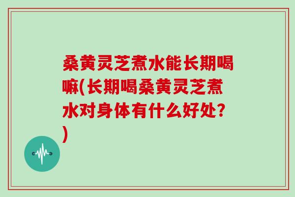 桑黄灵芝煮水能长期喝嘛(长期喝桑黄灵芝煮水对身体有什么好处?)