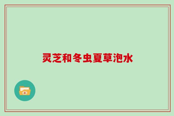 灵芝和冬虫夏草泡水