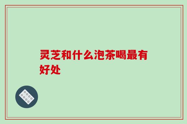 灵芝和什么泡茶喝最有好处