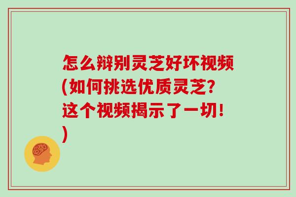 怎么辩别灵芝好坏视频(如何挑选优质灵芝?这个视频揭示了一切!)