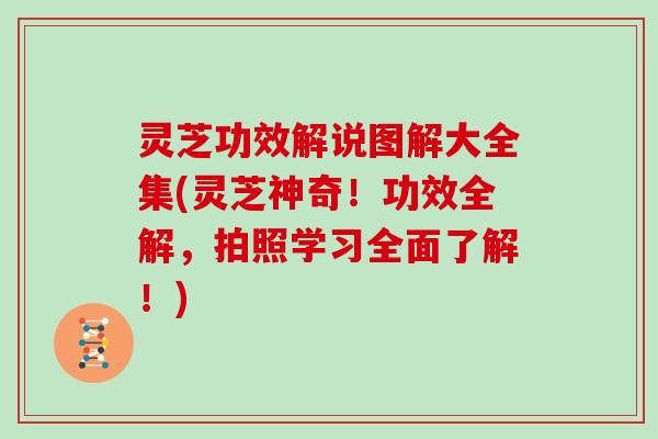 灵芝功效解说图解大全集(灵芝神奇!功效全解,拍照学习全面了解!)