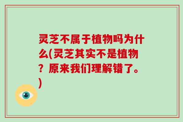 灵芝不属于植物吗为什么(灵芝其实不是植物？原来我们理解错了。)
