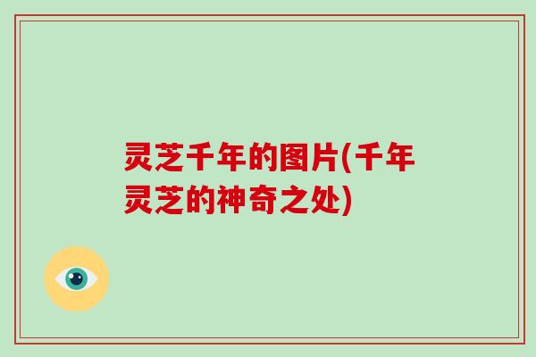 灵芝千年的图片(千年灵芝的神奇之处)