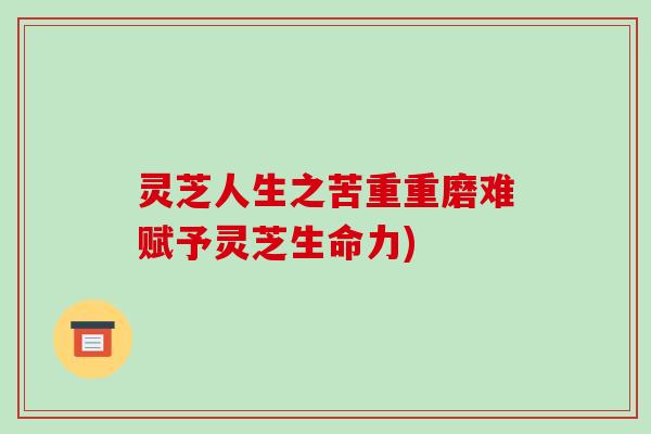 灵芝人生之苦重重磨难赋予灵芝生命力)