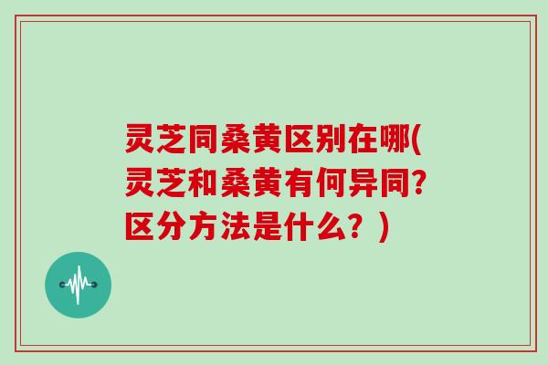 灵芝同桑黄区别在哪(灵芝和桑黄有何异同?区分方法是什么?)
