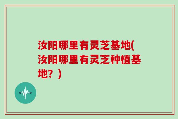 汝阳哪里有灵芝基地(汝阳哪里有灵芝种植基地?)