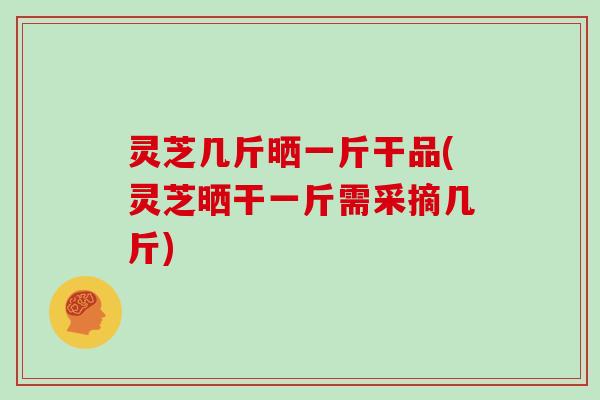 灵芝几斤晒一斤干品(灵芝晒干一斤需采摘几斤)