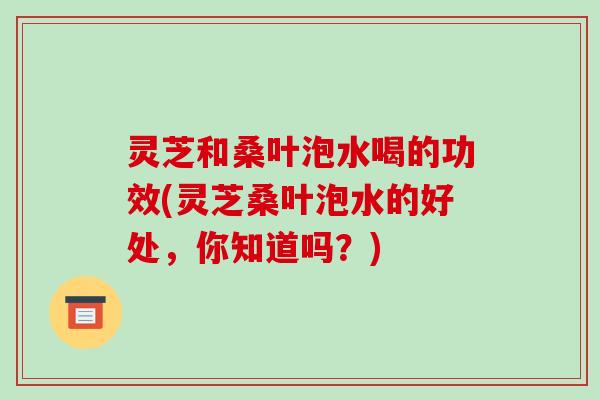灵芝和桑叶泡水喝的功效(灵芝桑叶泡水的好处,你知道吗?)