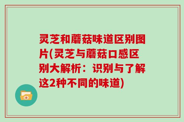 灵芝和蘑菇味道区别图片(灵芝与蘑菇口感区别大解析:识别与了解这2种不同的味道)