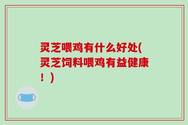 灵芝喂鸡有什么好处(灵芝饲料喂鸡有益健康!)