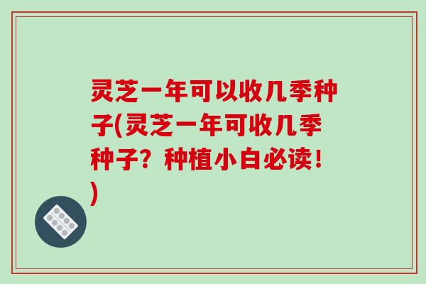 灵芝一年可以收几季种子(灵芝一年可收几季种子?种植小白必读!)